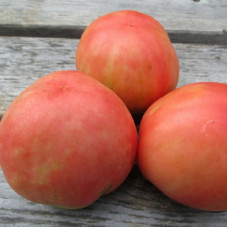 Tomato seeds «Peach»