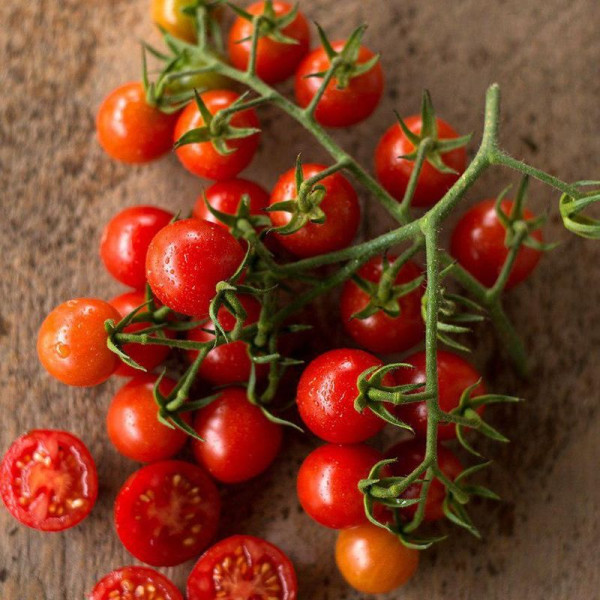 Tomato seeds «World's smallest red»