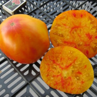 Насіння томату «Жовто-рожевий бабусі Віней»