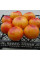 Насіння томату «Ананасний»