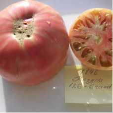 Tomato seeds «Kozula 126 + Grand»