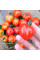 Насіння томату «Томатоберрі»