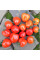 Насіння томату «Томатоберрі»