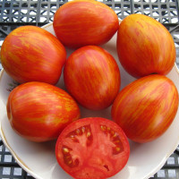Tomato seeds «Schimmeig Creg»