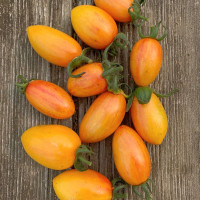Tomato seeds «Shy blush»