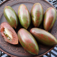 Tomato seeds «Javelin»