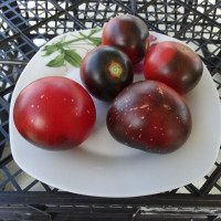 Tomato seeds «Red coal»