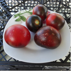 Насіння томату «Червоне вугілля»