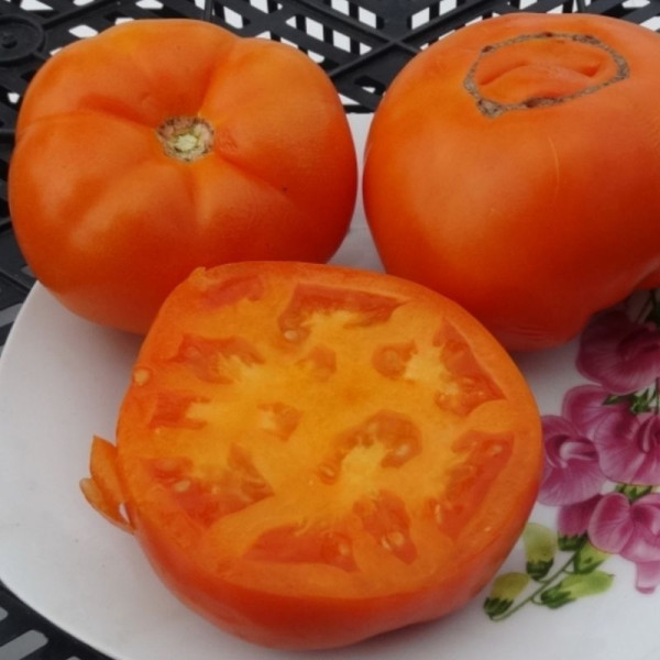 Насіння томату «Українська хурма»