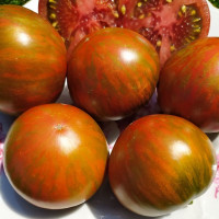 Tomato seeds «Dwarf Andy's Forty»