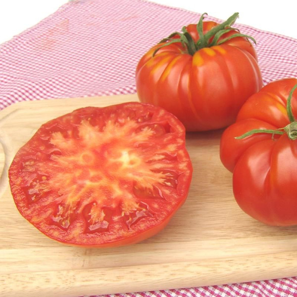 Tomato seeds «Brutus»