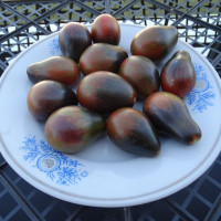 Насіння томату «Сині ключі»