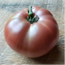 Tomato seeds «Dwarf wild spudleaf»