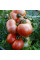 Tomato seeds «Cherokee tiger large»