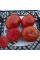 Tomato seeds «Cherokee tiger large»