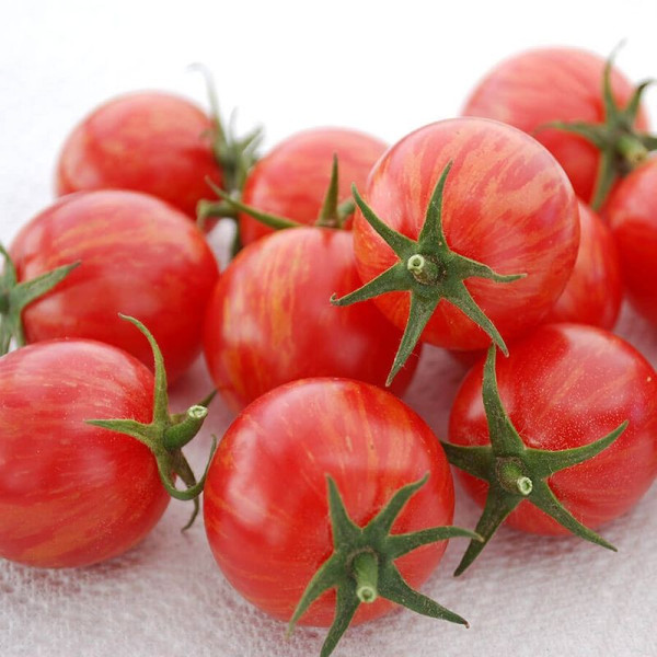 Tomato seeds «Pink bumble bee»