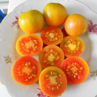 Семена томата «Жёлтый виноград»