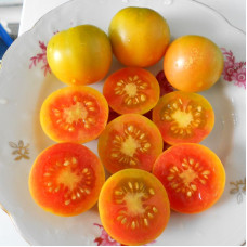 Насіння томату «Жовтий виноград»