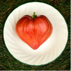 Насіння томату «Сокрушене серце»