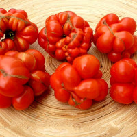 Семена томата «Райсе томат»