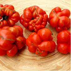 Tomato seeds «Reisetomate tomato»