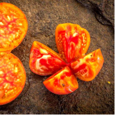 Tomato seeds «Gandalf»