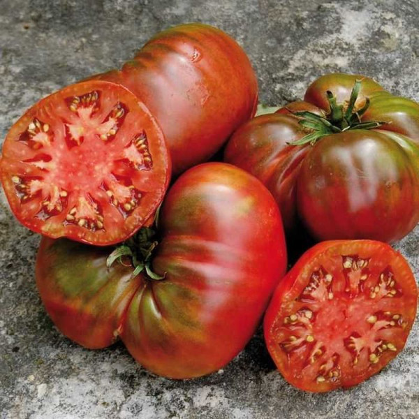 Насіння томату «Чорна людина моря»