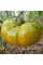 Насіння томату «Малахітова скринька»