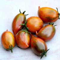 Tomato seeds «Candy sweet icicle»