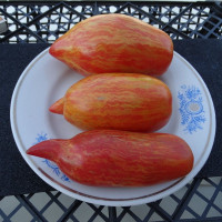 Семена томата «Бэлла»