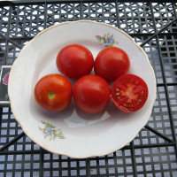 Tomato seeds «Semira»