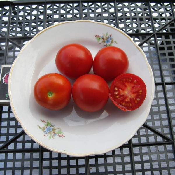 Tomato seeds «Semira»