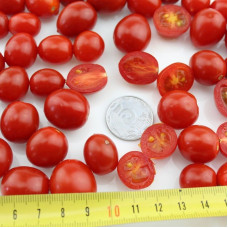 Tomato seeds «Mexiсo midget»