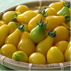 Насіння томату «Медова крапля»