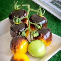 Насіння томату «Синій лісовий джміль»