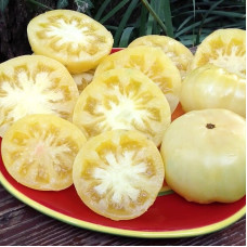 Насіння томату «Даггін білий»