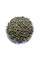 Rye seeds