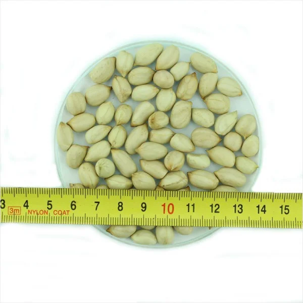 Peanut seeds «Argentine white»