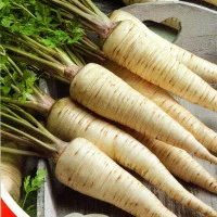 Насіння петрушки кореневої «Чубчик і корінчик»