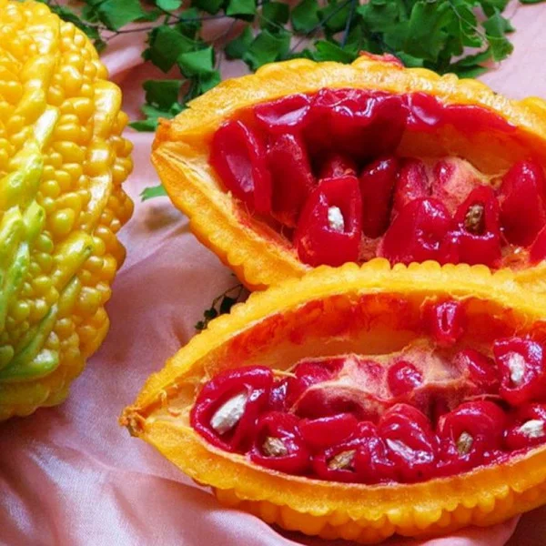 Насіння китайського гіркого гарбуза (гірка диня)