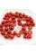 Tomato seeds «Mexiсo midget»