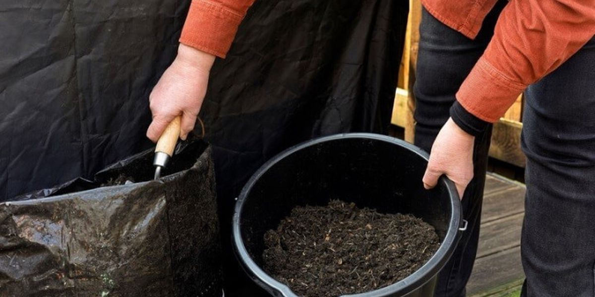 Чим мульчувати квітник на зиму: торф, компост, кора чи листя