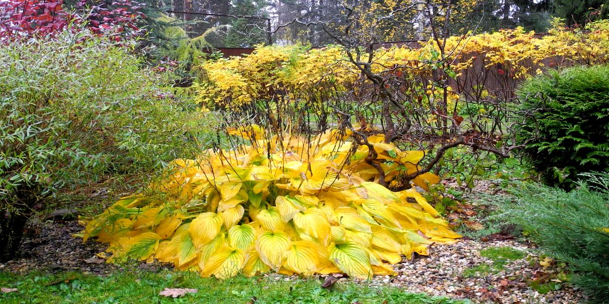 gotovim_hosty_k_zime