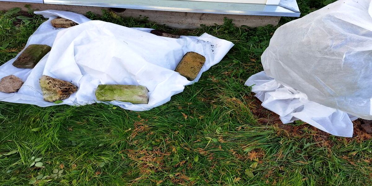 gotovim_hosty_k_zime