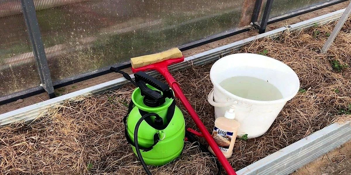 kak_uhazhivat_za_teplicej_posle_sbora_urozhaya