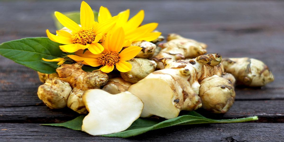 kakie_ovoshi_mogut_zimovat_na_gryadke