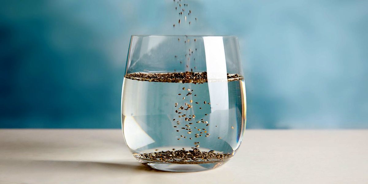 o_prorashivanii_semyan_cvetochnyh_ovoshnyh_rasteni