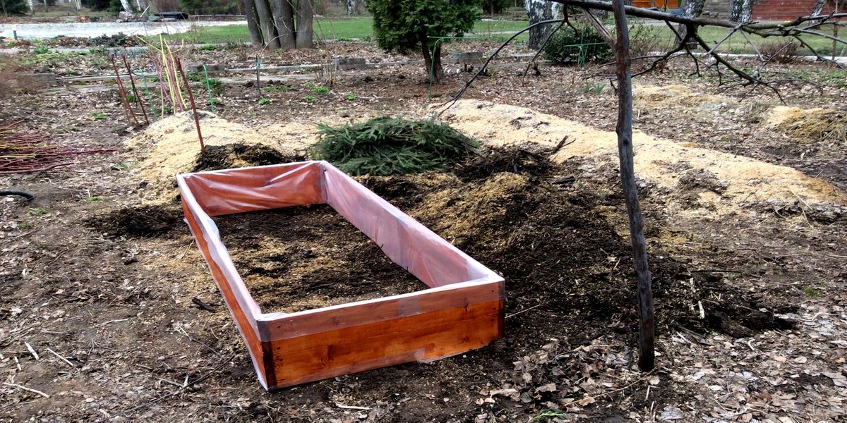 podzimnie_posevy_za_protiv