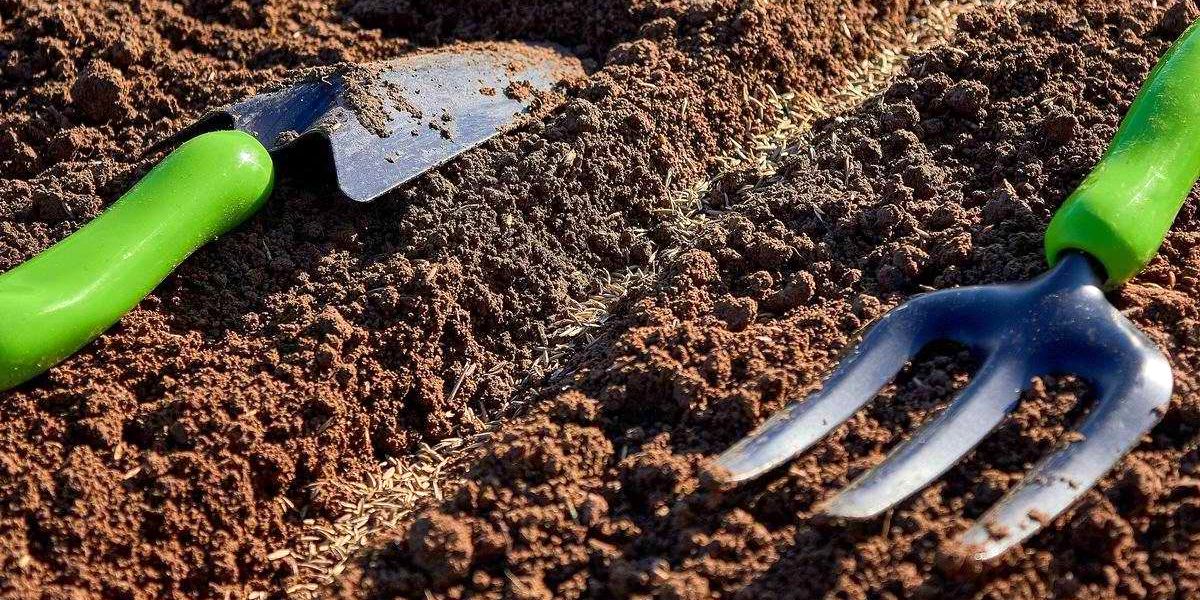 podzimnie_posevy_za_protiv