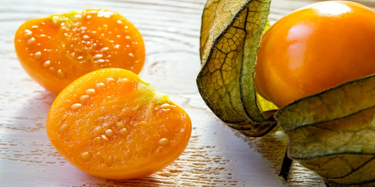 tomatillo_ili_fizalis_ovoshnoj